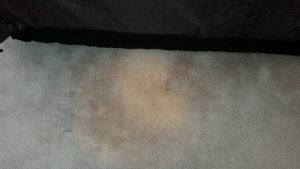 Albuquerque Carpet Bleach Stain Repair