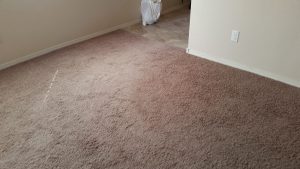 Albuquerque Carpet Cleaning