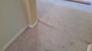 Albuquerque Carpet Re Stretch