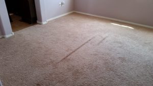 Albuquerque Carpet Re Stretch and Cleaning