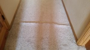 Albuquerque Hallway Carpet Re  Stretch