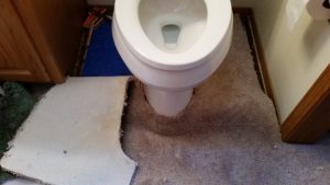 Albuquerque Toilet Install Carpet Repair