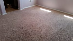 Carpet Re Stretch and Cleaning Albuquerque