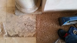 Pet Damage Carpet Repair Bernalillo