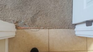 Albuquerque Carpet to Tile Transition