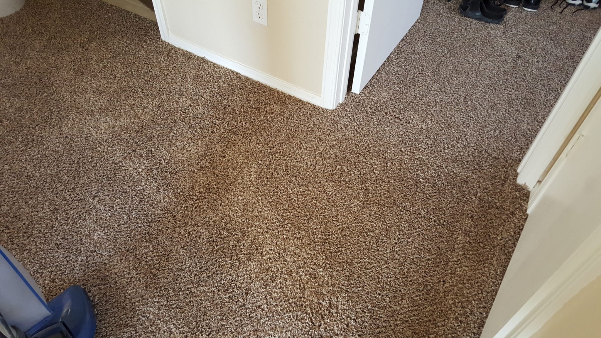 Pet damage carpet repair on a step. : r/carpetcleaningporn