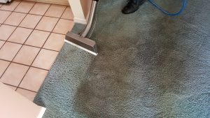 Albuquerque Carpet Cleaning