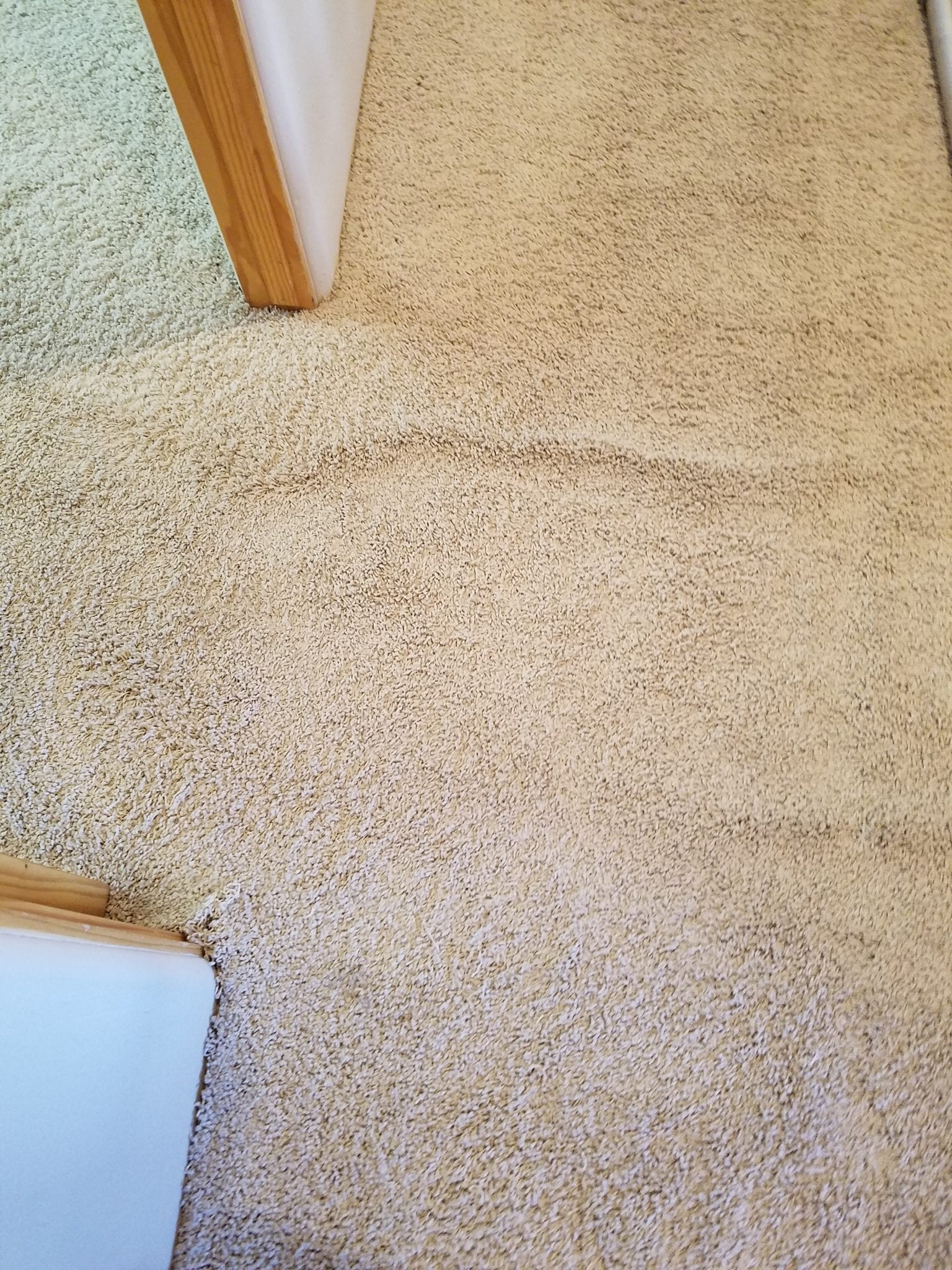 Albuquerque Carpet Restretch and Clean New Mexico Carpet Repair