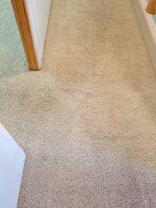 Carpet Re Stretch and Cleaning Albuquerque