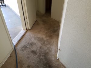 Ventana Ranch Albuquerque Carpet Cleaning