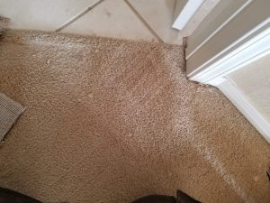 albuquerque-carpet-repair