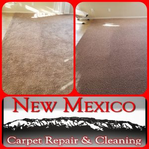 Albuquerque Carpet Re-Stretch and Cleaning