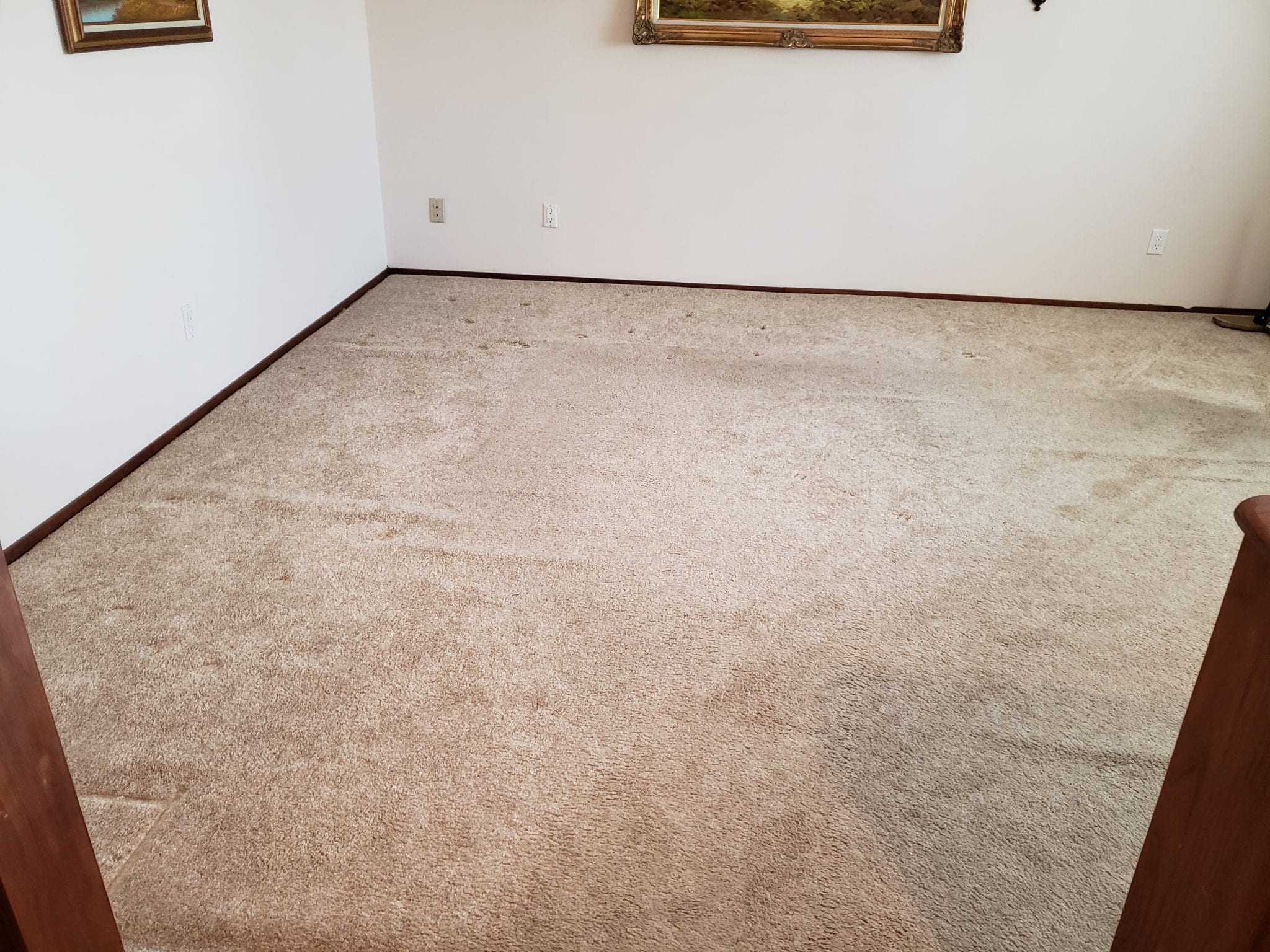 Albuquerque Carpet Cleaning New Mexico Carpet Repair