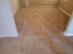 Ventana ranch carpet cleaning