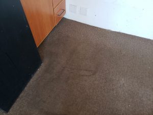 carpet cleaning rio rancho